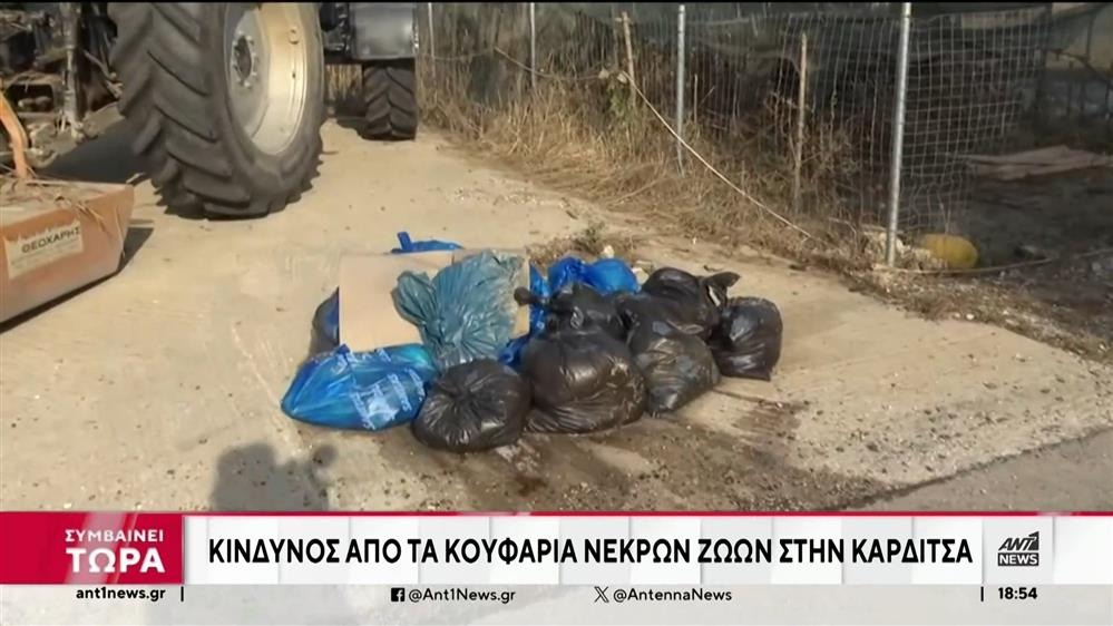 Σε υγειονομική βόμβα έχει μετατραπεί ο Θεσσαλικός Κάμπος