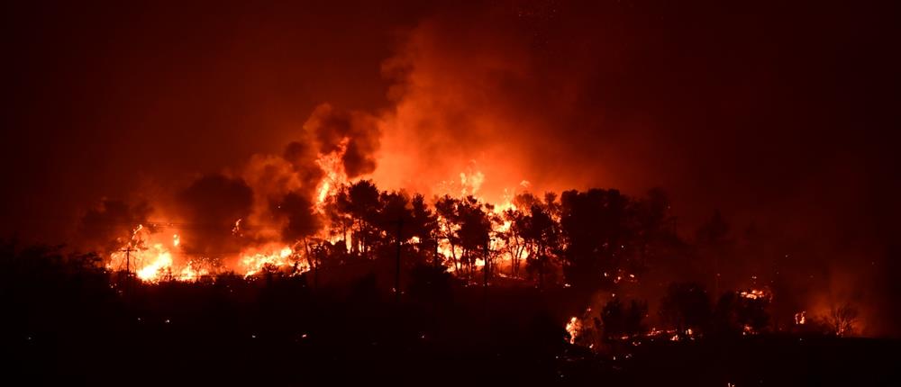 Φωτιά στην Αττική: Οι ζημιές στις καλλιεργείς “φέρνουν” ανατιμήσεις στην αγορά 