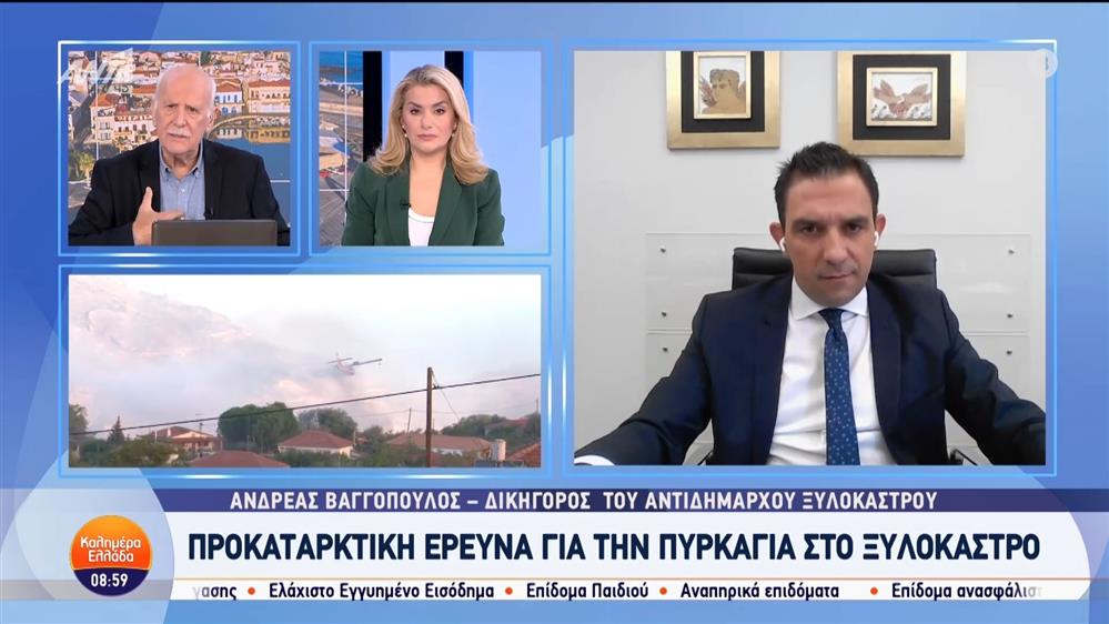 Ο Ανδρέας Βαγγόπουλος, δικηγόρος του αντιδήμαρχου Ξυλόκαστρου - Καλημέρα Ελλάδα - 11/10/2024