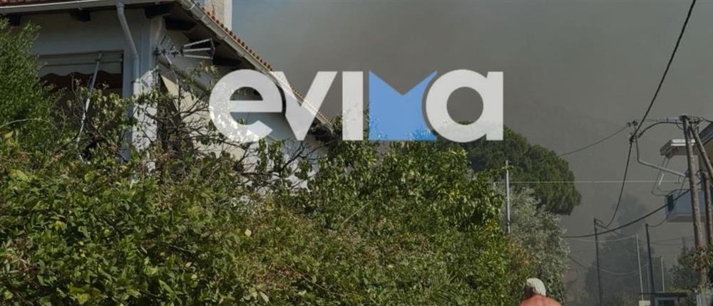 Εύβοια: Φωτιά στην Παναγιά απείλησε σπίτια - Κινητοποιήθηκαν εναέρια μέσα (βίντεο)