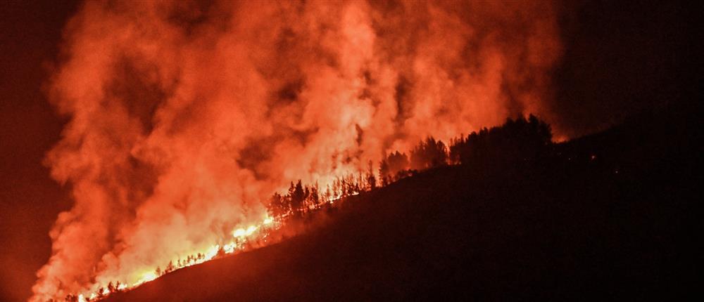 Πυροσβεστική: 47 αγροτοδασικές πυρκαγιές διαχειρίστηκε το τελευταίο 24ωρο
