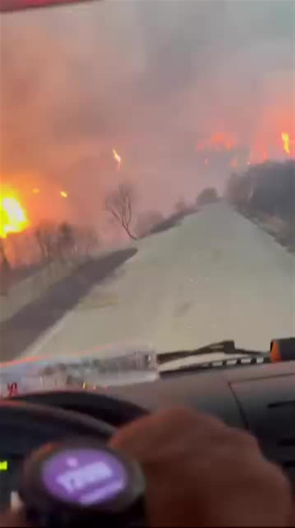 Ηλεία: Βίντεο από αυτοκίνητο που κινείται "μέσα" στο μέτωπο της πυρκαγιάς