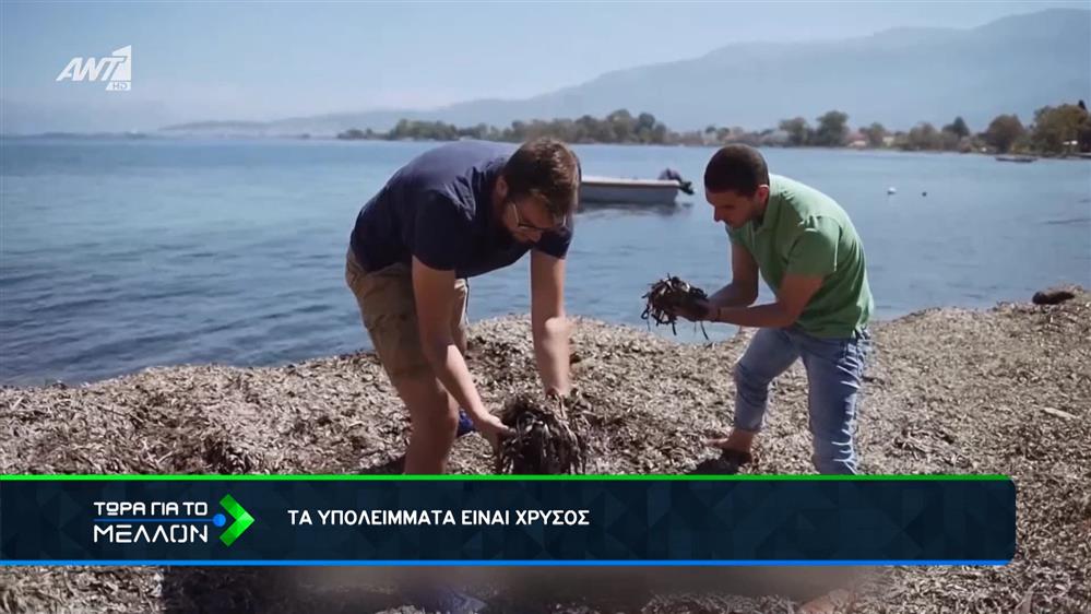 Τα φυτικά υπολείμματα είναι «χρυσός»