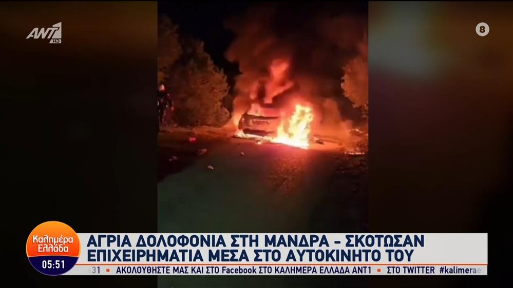 Άγρια δολοφονία στη Μάνδρα – Καλημέρα Ελλάδα – 08/02/2024