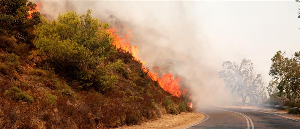 Φωτιές στην Αττική: Εκκένωση του οικισμού Δέση στον Γέρακα