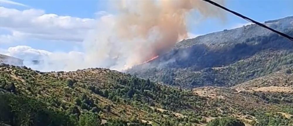 Φωτιά στην Κοζάνη: Επιχειρούν και εναέρια μέσα (εικόνες)