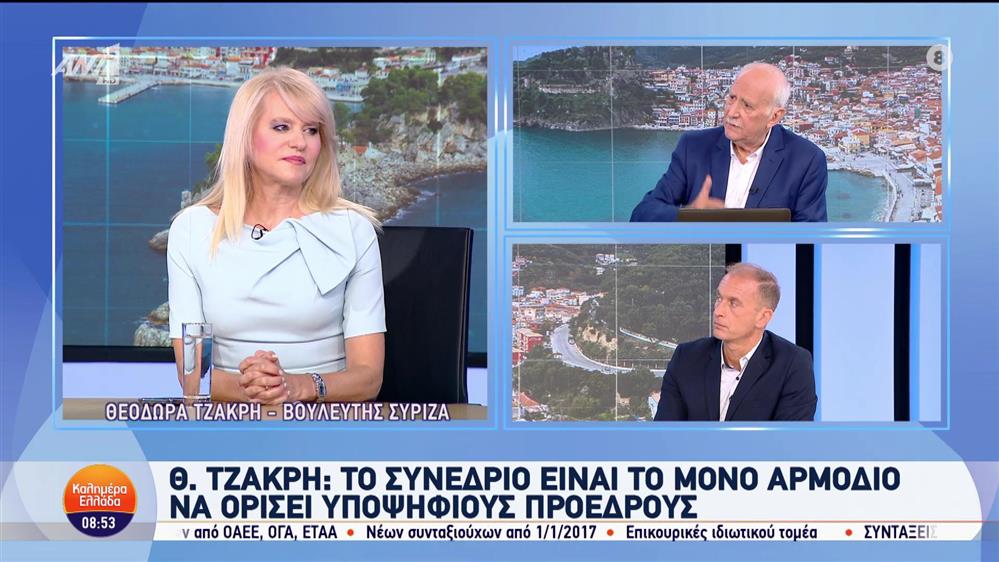 Η Θεοδώρα Τζάκρη, βουλευτής ΣΥΡΙΖΑ στο Καλημέρα Ελλάδα - 14/10/2024