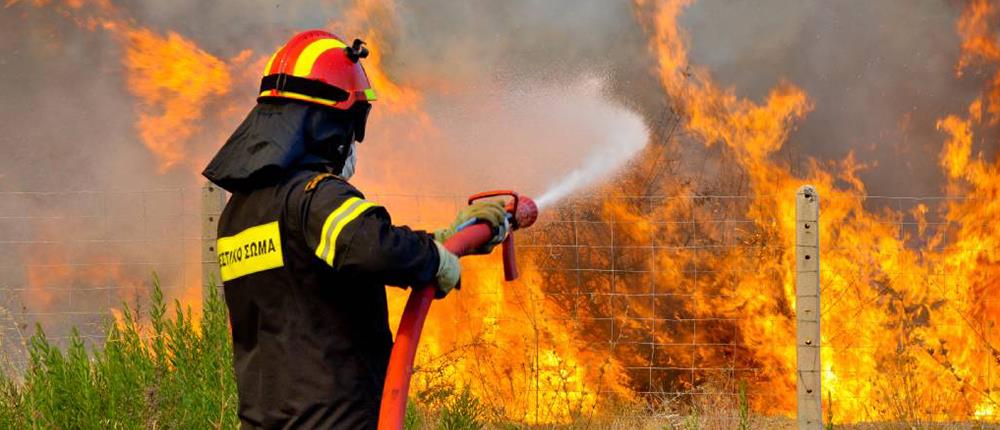 Σαλαμίνα: Φωτιά ανάμεσα σε οικισμούς