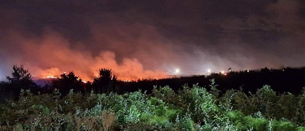 Πέλλα - Φωτιά στο Πάικο: Μαίνεται η καταστροφική πυρκαγιά (βίντεο)