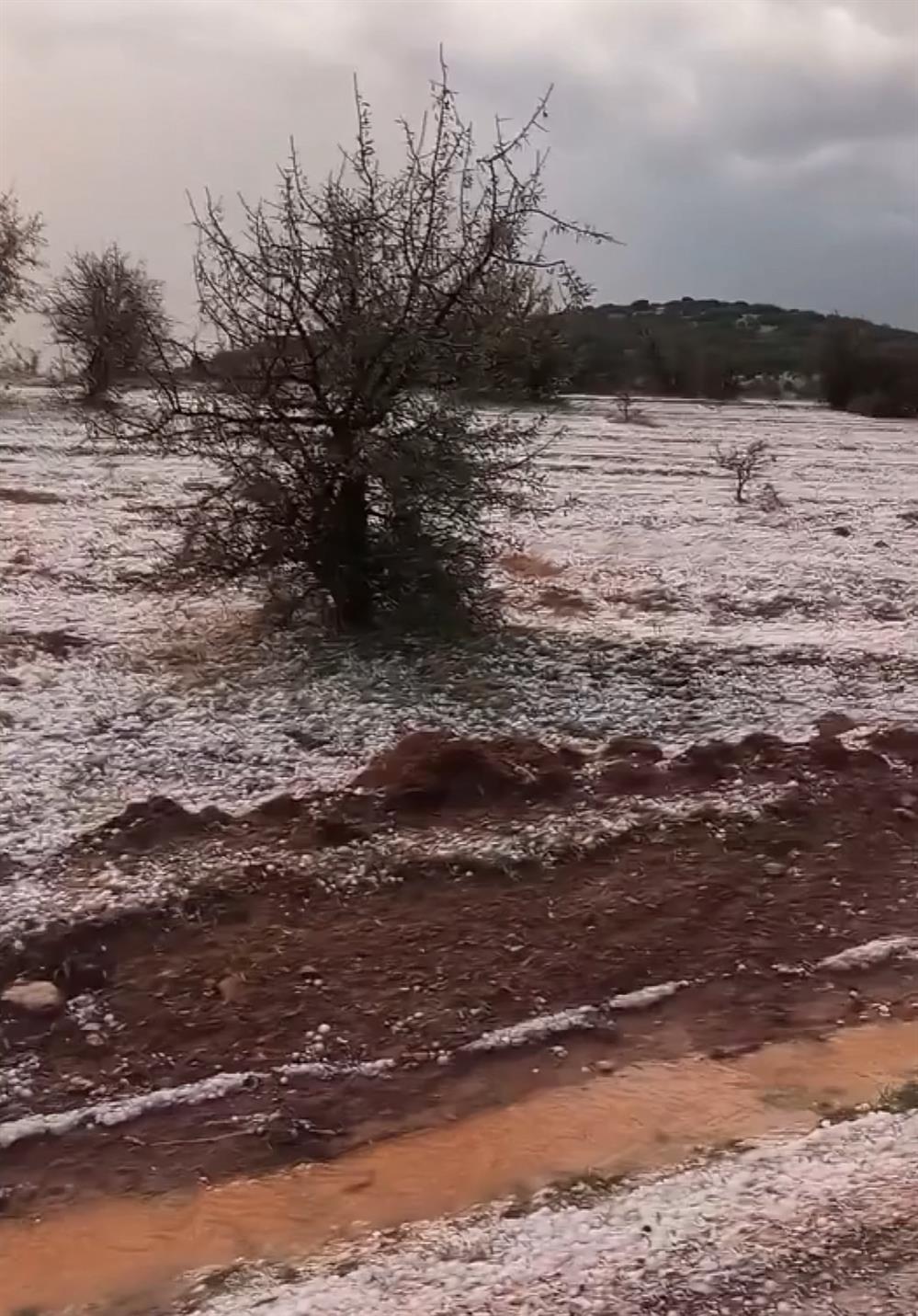 Χαλάζι - Ελασσόνα