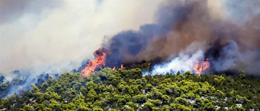 Κικίλιας: Μέχρι τον Δεκαπενταύγουστο αυξημένος κίνδυνος πυρκαγιάς