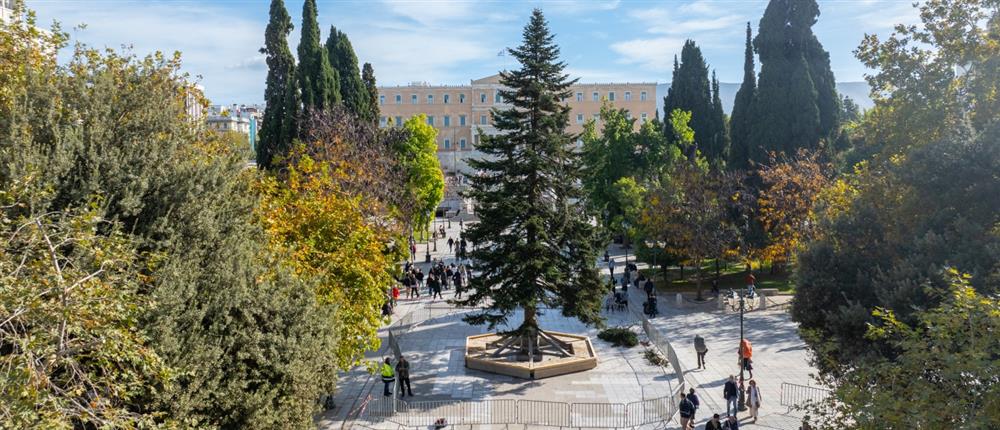 Χριστούγεννα - Σύνταγμα: Φωταγώγηση του δέντρου του Δήμου Αθηναίων