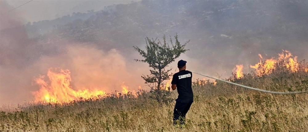Φωτιά στην Αλβανία κοντά στα σύνορα με την Ελλάδα (εικόνες)