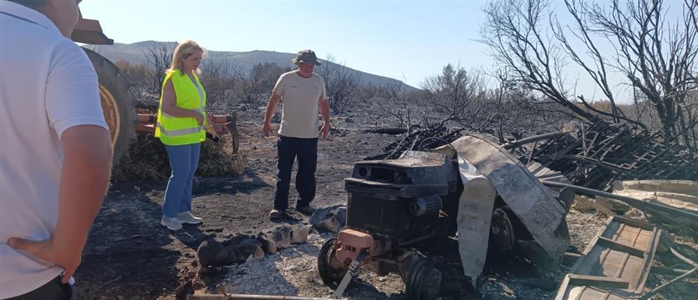 Φωτιά στην Αττική: Αναστέλλονται οι πληρωμές ασφαλιστικών πληρωμών των πληγέντων