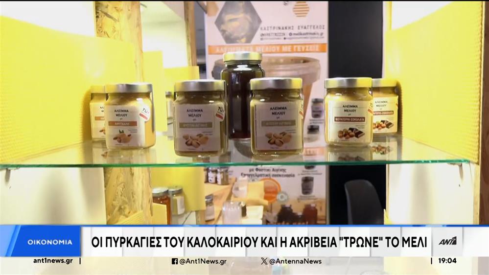 Μελισσοκόμοι: Οι πυρκαγιές του καλοκαιριού και η ακρίβεια "τρώνε" το μέλι