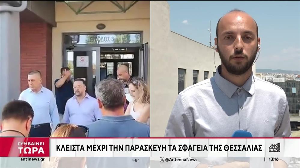 Θεσσαλία: Απαγόρευση σφαγής και έλεγχοι από κτηνιάτρους για την πανώλη