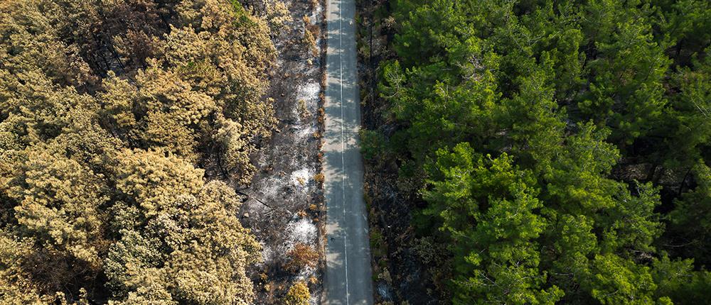 “Thessaly Evros Pass”: Αυξάνονται τα ποσά των άυλων ψηφιακών χρεωστικών καρτών για τη Φάση 3