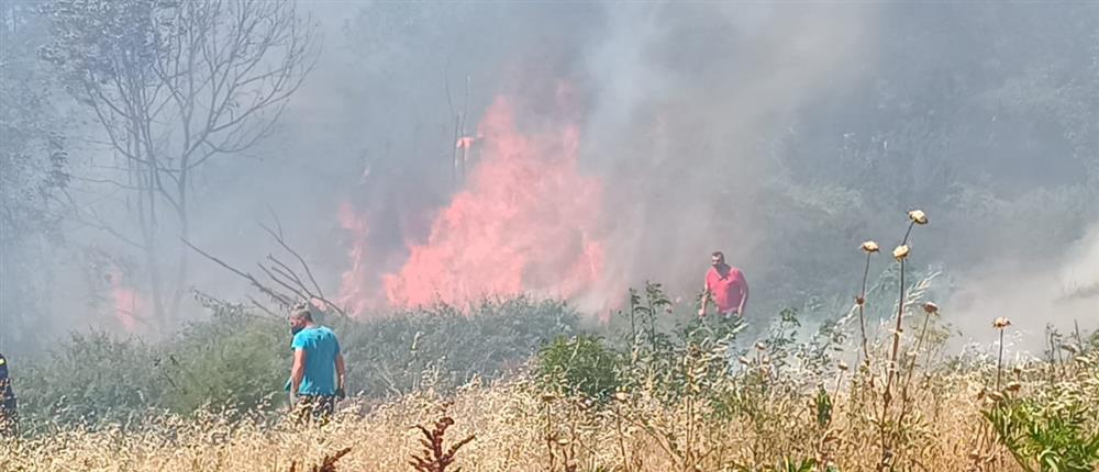 Φωτιά στην Νάξο: Μήνυμα του 112 για εκκένωση περιοχών