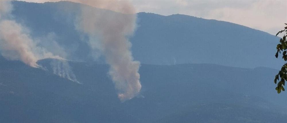 Πέλλα - Φωτιά στο Πάικο: Μαίνεται η καταστροφική πυρκαγιά (βίντεο)