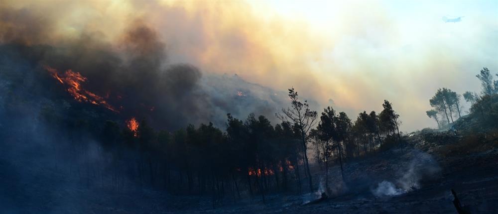 Φωτιές σε Πέλλα και Θεσπρωτία: Στην “μάχη” και εναέρια