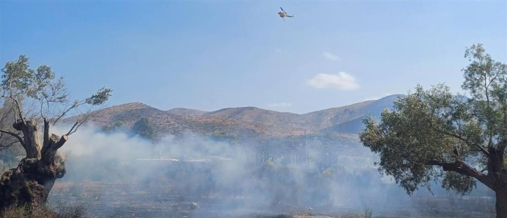 Φωτιά στα Καλύβια - Κικίλιας: Εντοπίστηκε από drone και τέθηκε υπό έλεγχο σε 20 λεπτά