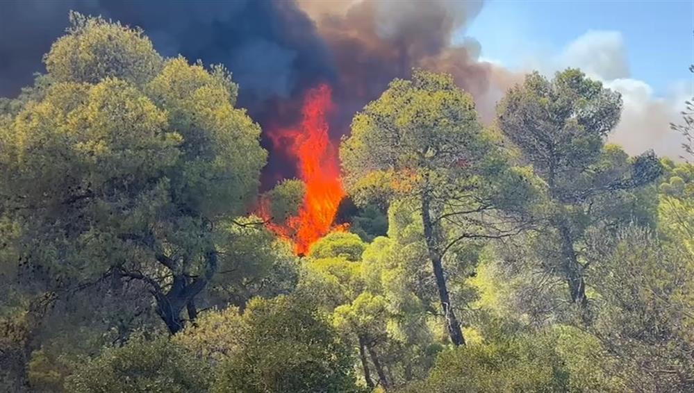 Φωτιά στο Σοφικό: Μάχη των πυροσβεστών με τις φλόγες