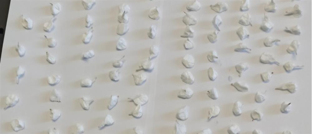 Φυλακές Ιωαννίνων: 100 συσκευασίες κοκαΐνης βρέθηκαν σε νέα έρευνα