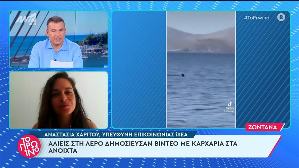 Αλιείς στη Λέρο δημοσίευσαν βίντεο με καρχαρία στα ανοιχτά - Το Πρωινό - 10/06/2024