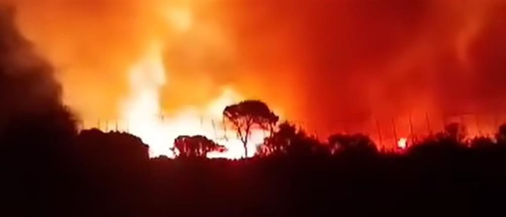 Φωτιά στην Αχαΐα: Οι φλόγες κοντά στο δάσος της Στροφυλιάς (βίντεο)