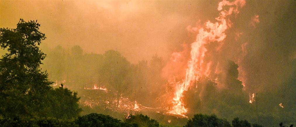 Φωτιές: “Μάχη διαρκείας” στην Ηλεία - Κάηκαν σπίτια σε Κρανίδι και Αρκαδία (εικόνες)