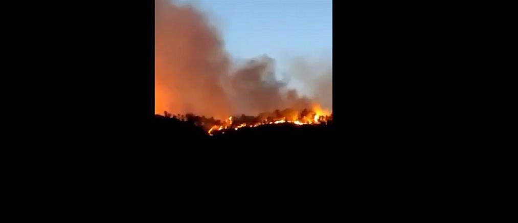 Φωτιά στην Κόνιτσα: ο φλεγόμενος Αμάραντος μέσα από τα ελικόπτερα (βίντεο)