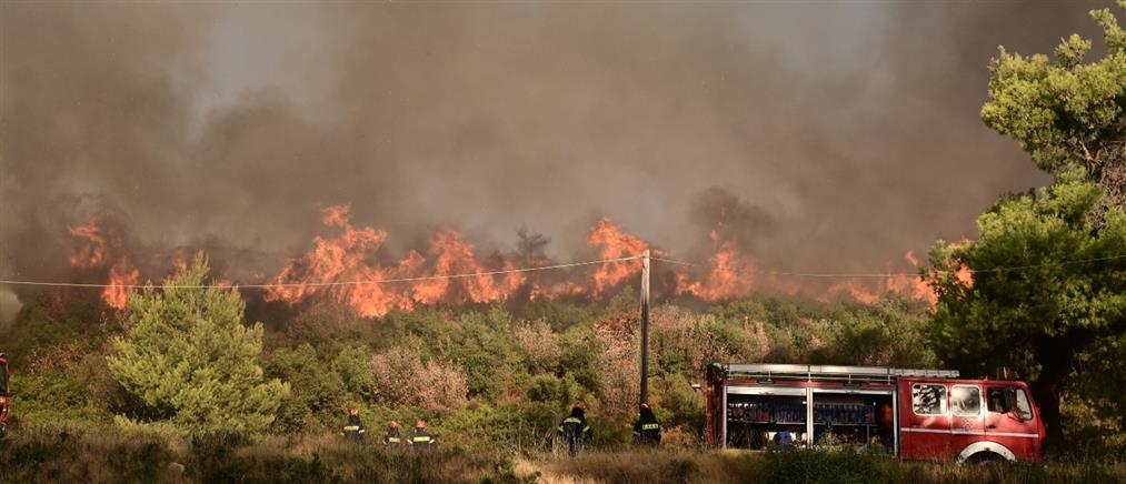 Φωτιές: Πολύ υψηλός κίνδυνος πυρκαγιάς σε 6 περιφέρειες την Παρασκευή (χάρτης)