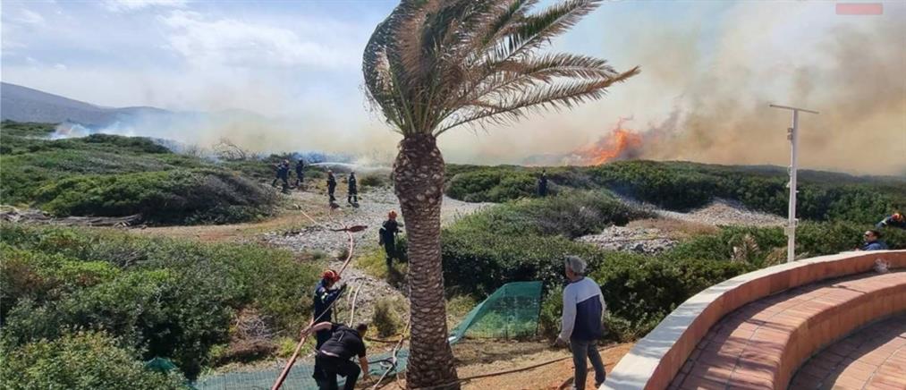 Κρήτη: Φωτιά στα Μάλια - Μεγάλη κινητοποίηση της Πυροσβεστικής (εικόνες)
