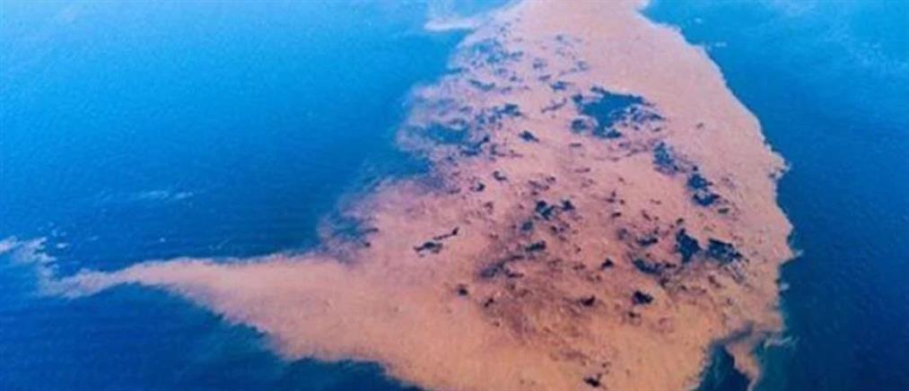 Κακοκαιρία “Daniel”: Δημιουργήθηκε νησίδα από τα μπάζα στον Παγασητικό