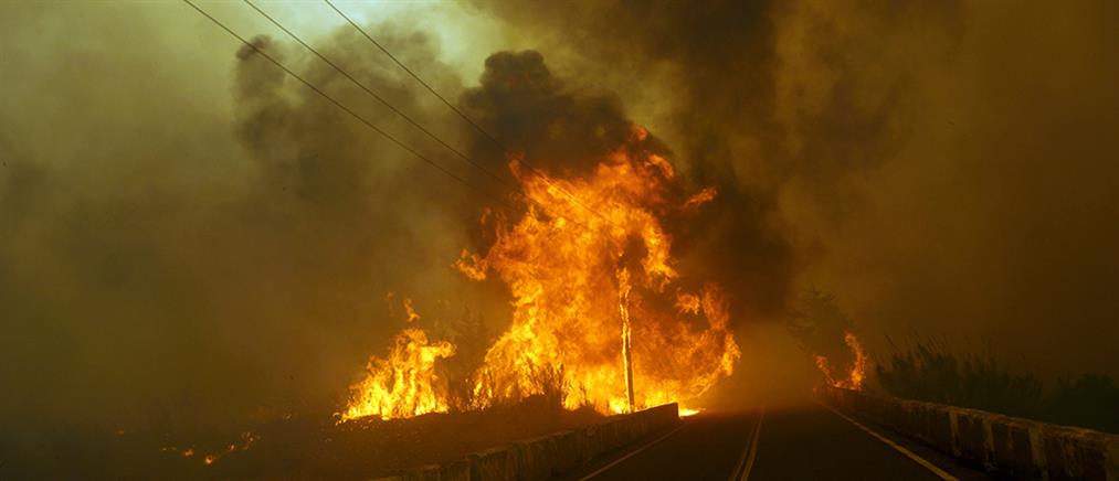 Γενική Γραμματεία Πολιτικής Προστασίας: Αυξημένος ο κίνδυνος πυρκαγιών σήμερα