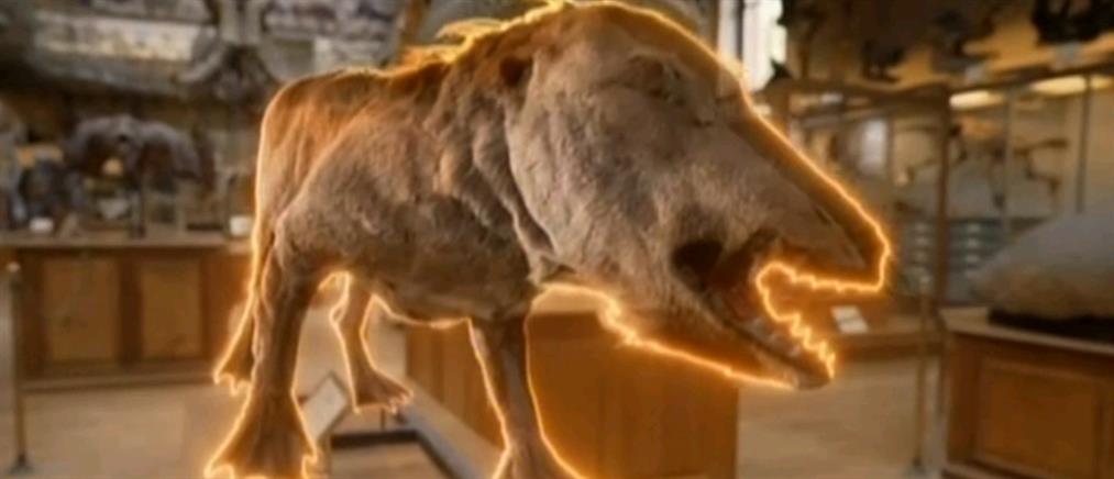 Αίγυπτος: ο πρόγονος της φάλαινας είχε πόδια και ήταν αμφίβιος (βίντεο)