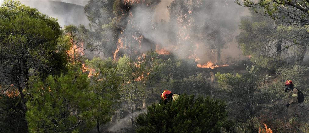 Νέα φωτιά στον Ασπρόπυργο - Μαίνονται οι πυρκαγιές σε Πρέβεζα, Καστοριά και Όλυμπο