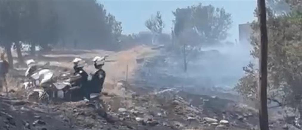 Φωτιά στην Κερατέα: Αστυνομικοί απομάκρυναν ηλικιωμένους και έσβησαν την αυλή τους (βίντεο)