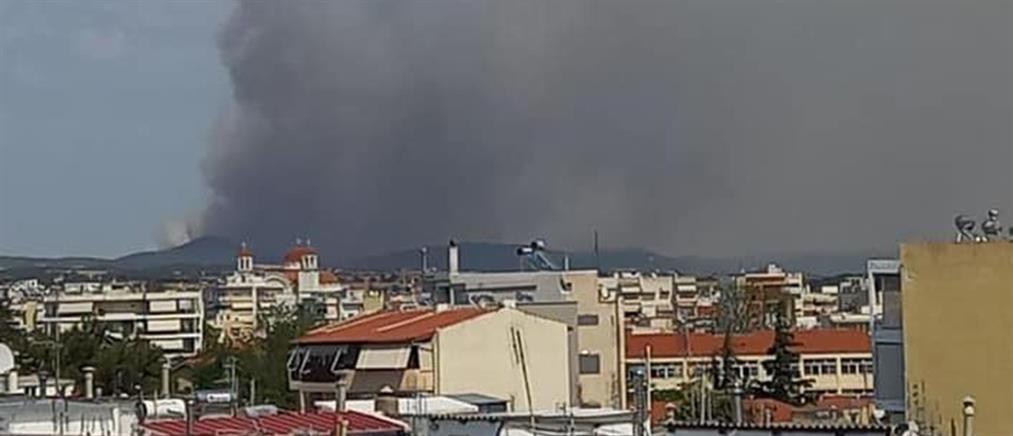 Φωτιά στην Αλεξανδρούπολη: Εκκένωση οικισμών και διακοπή της κυκλοφορίας (εικόνες)