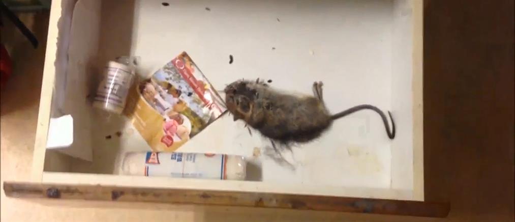 Ψόφιο ποντίκι μέσα σε συρτάρι στο Κέντρο Υγείας Νάξου! (Βίντεο)