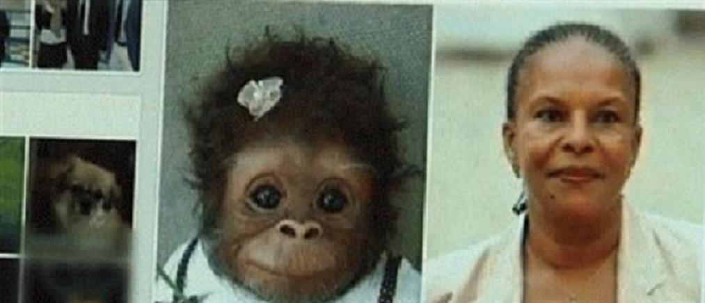 Αν Σοφί Λεκλέρ: "Νεογνός χιμπατζής" η Κριστιάν Τομπιρά