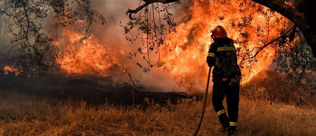 Φωτιά στην Χίο - Καίει πευκοδάσος