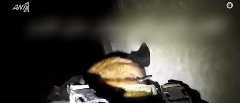 Πόλεμος στο Ισραήλ: Σκυλιά στα τούνελ κυνηγούν ένοπλους της Χαμάς (βίντεο)