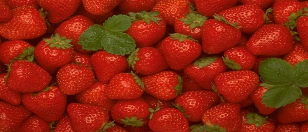 ΗΠΑ - Ηπατίτιδα Α: βιολογικές φράουλες θεωρούνται “ύποπτες” για την εξάπλωση της νόσου