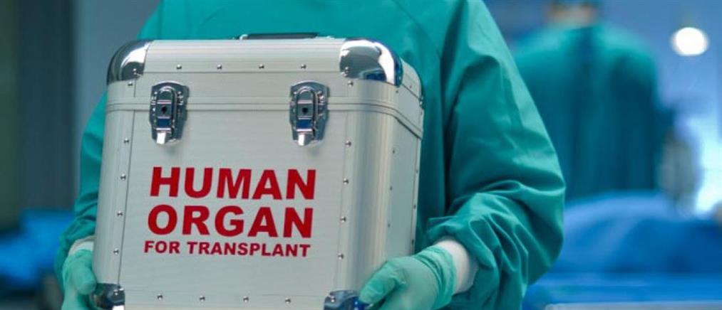 Δωρεά οργάνων: Πρωτοχρονιάτικο δώρο ζωής σε ασθενείς του Νοσοκομείου Παπαγεωργίου