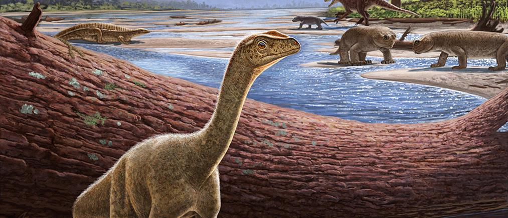 Ζιμπάμπουε: Ανακαλύφθηκε ο αρχαιότερος δεινόσαυρος της Αφρικής (εικόνες)