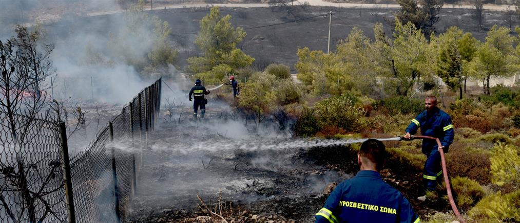 Φωτιές - Κυριακή: Πολύ υψηλός κίνδυνος πυρκαγιάς σε 3 περιφέρειες (χάρτης)