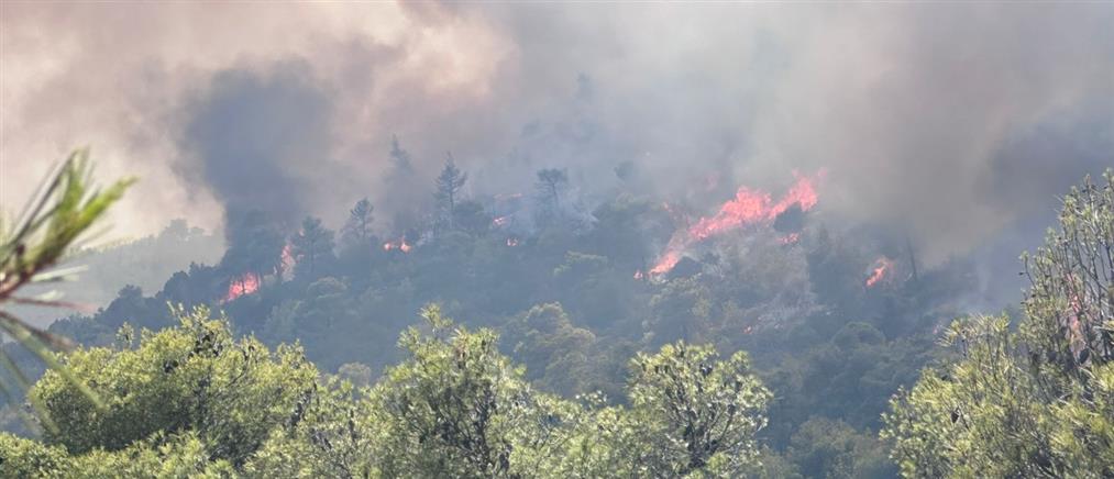 Κόρινθος: Φωτιά στο Σοφικό - Ήχησε το 112 (εικόνες)