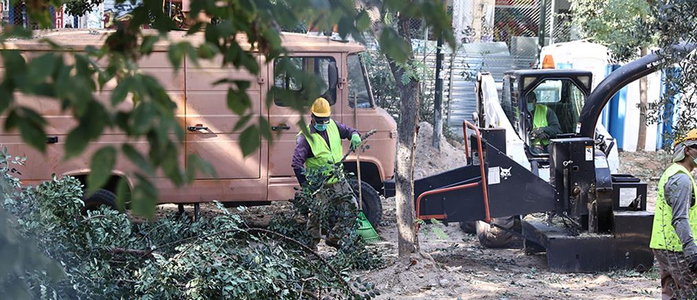 Μετρό -  Εξάρχεια: Υπογραφή σύμβασης για χιλιάδες δέντρα στην Αθήνα