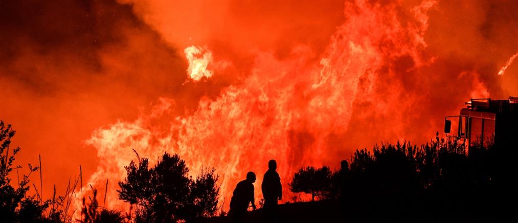 Μάνη: Μεγάλη φωτιά στην Μίνα (βίντεο)